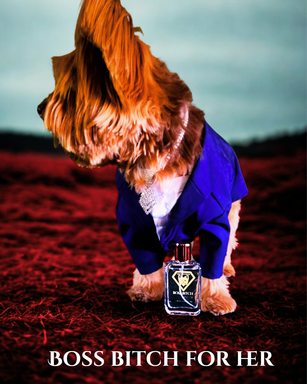 Model for Boss B dog perfume cologne for her