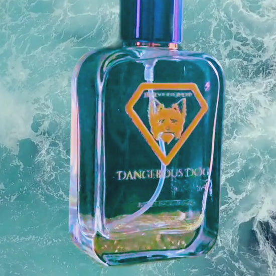 Video of Dangerous Dog perfume bottle for males
