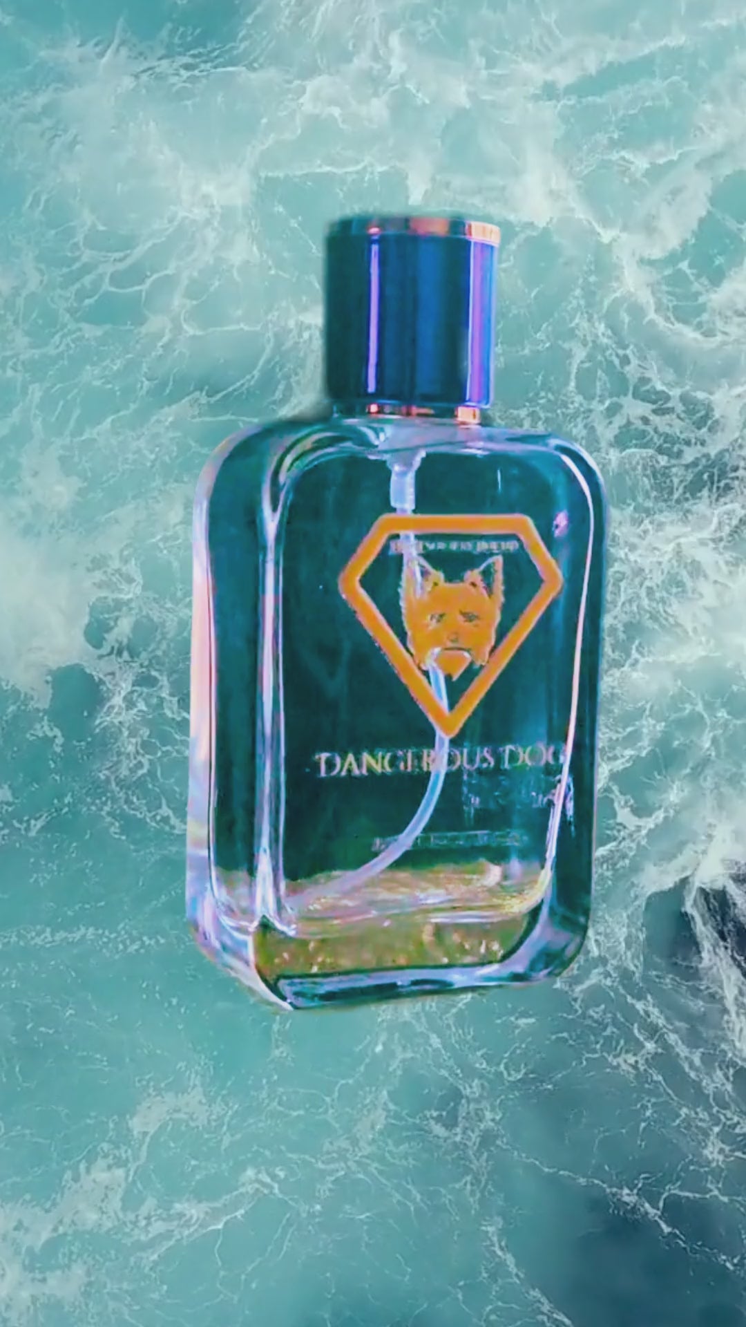 Video of Dangerous Dog perfume bottle for males